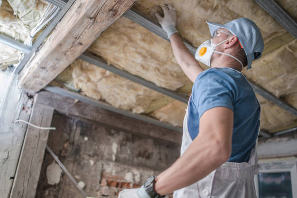 Insulation Replacement Services in Minorca, LA