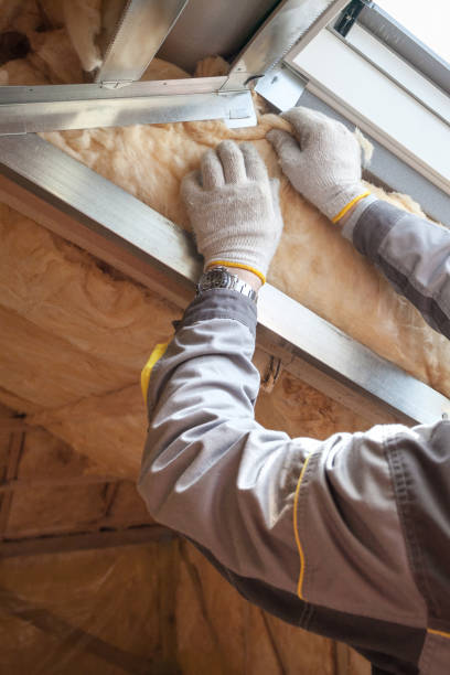 Professional Insulation Contractor in Minorca, LA
