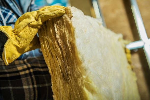 Best Insulation Replacement Services  in Minorca, LA